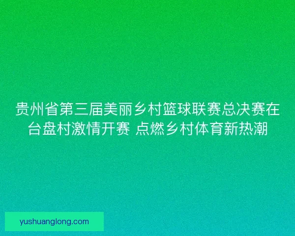 贵州省第三届美丽乡村篮球联赛总决赛在台盘村激情开赛 点燃乡村体育新热潮